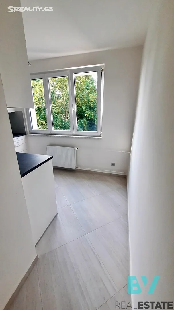 Pronájem bytu 2+1 53 m² — foto 5