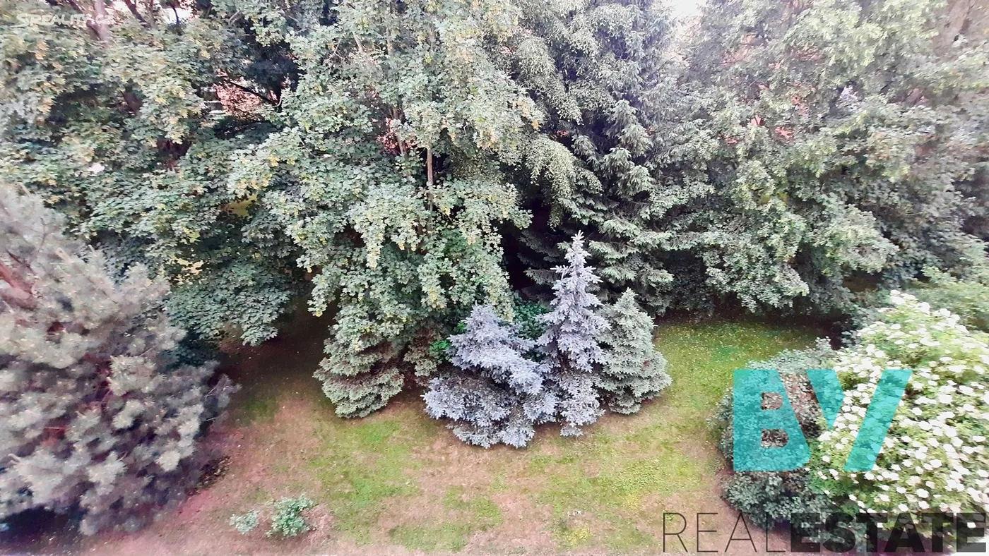 Pronájem bytu 2+1 53 m² — foto 10