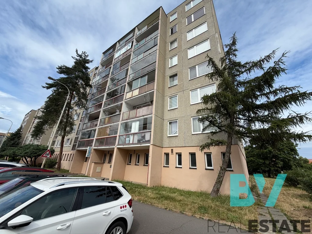 Pronájem bytu, 1+kk, 32 m² — foto 11